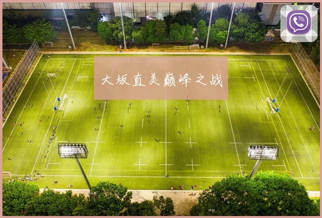 大坂直美巅峰之战