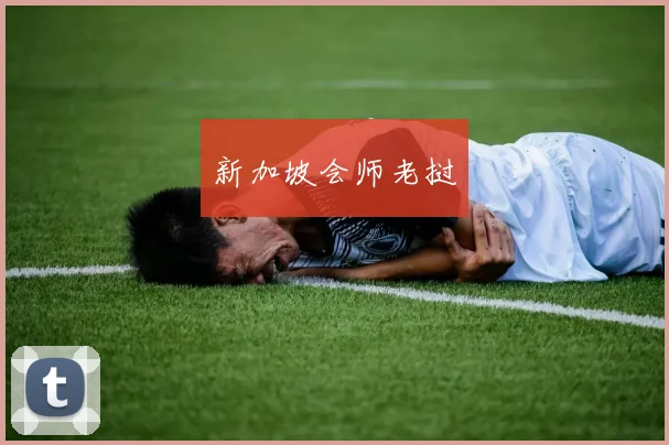 新加坡会师老挝