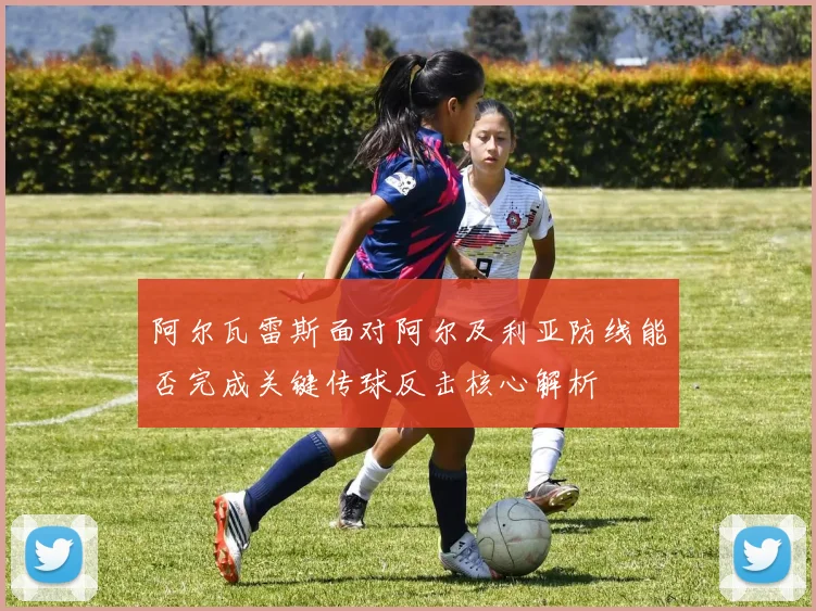 阿尔瓦雷斯面对阿尔及利亚防线能否完成关键传球反击核心解析