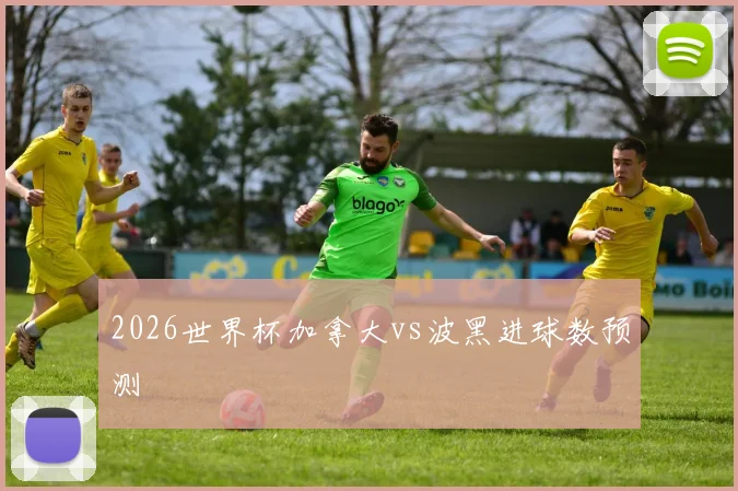 2026世界杯加拿大vs波黑进球数预测