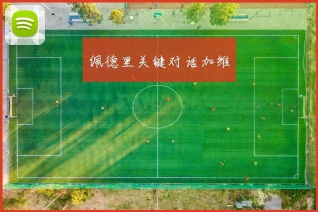 佩德里关键对话加维