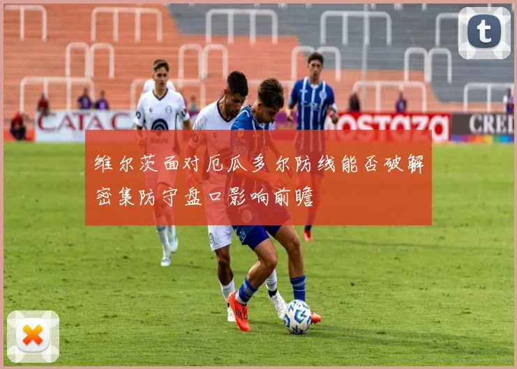 维尔茨面对厄瓜多尔防线能否破解密集防守盘口影响前瞻