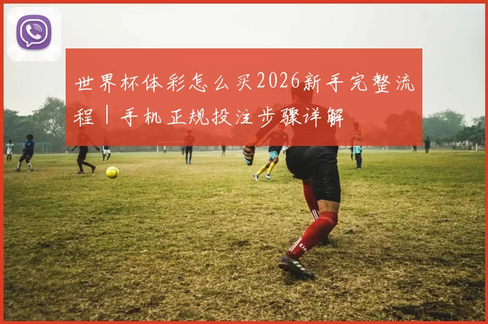 世界杯体彩怎么买2026新手完整流程｜手机正规投注步骤详解